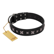 "Polar Lights" Designer FDT Artisan Black Leather Boxer Collar with Silver-Like Studs