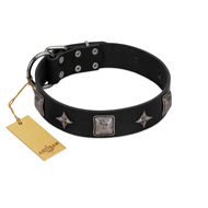 "Black Cavalier" Handmade FDT Artisan Black Leather Boxer Collar with Silver-Like Stars and Large Plates