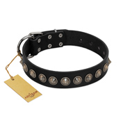 "Black Eagle" Handcrafted FDT Artisan Black Leather Boxer Collar with Silver-Like Adornments