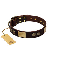 "Bow-Wow Effect" FDT Artisan Brown Leather Boxer Collar with Plates and Ornate Studs