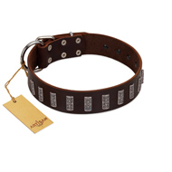 "Brown Lace" Handmade FDT Artisan Brown Leather Boxer Collar for Everyday Walks