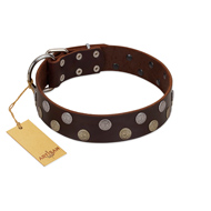 "Shadow Warrior" FDT Artisan Mystic Brown Leather Boxer Collar with Runes