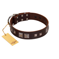 "Object of Virtu" FDT Artisan Brown Leather Boxer Collar with Old Silver-like Square Studs and Pyramids