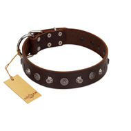 "Dark Chocolate" Handmade FDT Artisan Brown Leather Boxer Collar with Studs