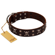 "Menacing Allure" FDT Artisan Brown Leather Boxer Collar Embellished with Silvery Crossbones and Square Studs
