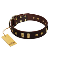 "Choco Delight" FDT Artisan Brown Leather Boxer Collar with Old Bronze-like Plates and Studs