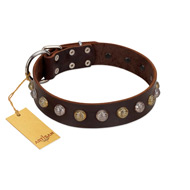 "Gape Buster" FDT Artisan Brown Leather Boxer Collar with One Row of Studs