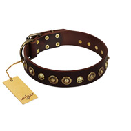 "Street Fashion" FDT Artisan Brown Leather Boxer Collar Adorned with Circles and Skulls