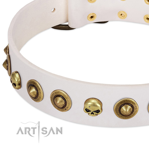 Awesome decorations on full grain leather collar for your doggie