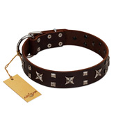 "Bigwig Woof" FDT Artisan Brown Leather Boxer Collar with Chrome Plated Stars and Square Studs