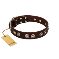 "Woofy Art" FDT Artisan Brown Leather Boxer Collar Adorned with Old Bronze-like Studs