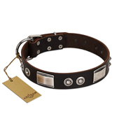 "Baller Status" FDT Artisan Brown Leather Boxer Collar Adorned with a Set of Chrome Plated Studs and Plates