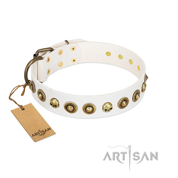 Full grain natural leather collar with awesome embellishments for your canine