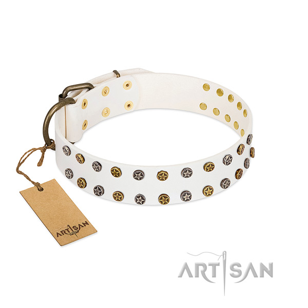 Stylish full grain leather dog collar with rust-proof decorations