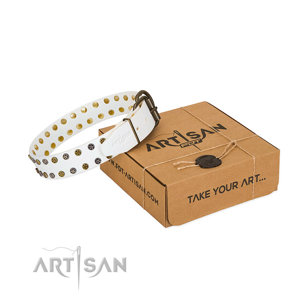 Amazing leather dog collar with durable decorations