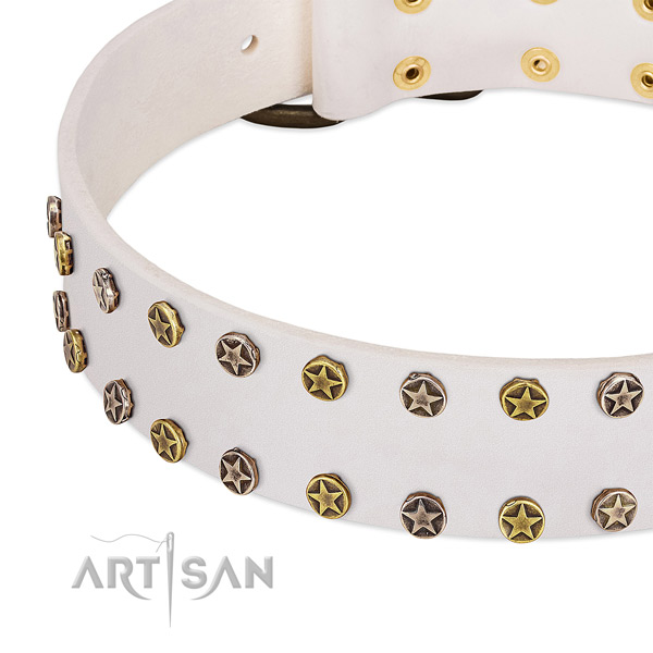 Awesome decorations on full grain genuine leather collar for your doggie