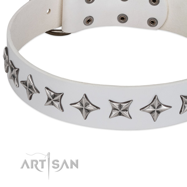 Daily use embellished dog collar of top notch full grain natural leather