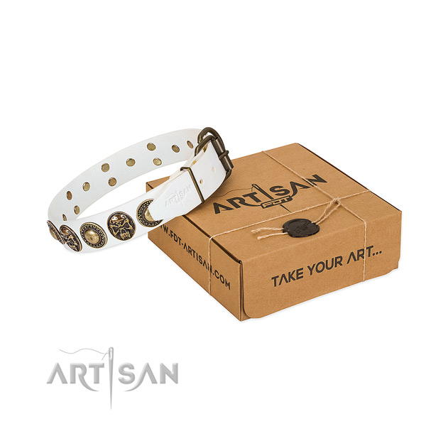 Rust-proof studs on dog collar for easy wearing