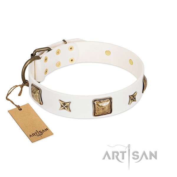 Significant leather dog collar for daily use