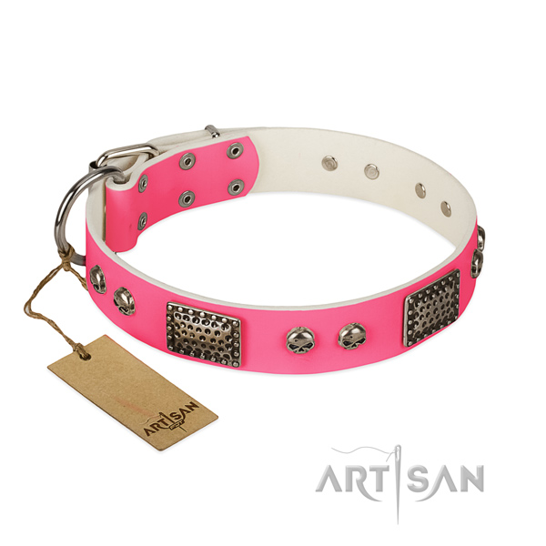Easy to adjust full grain genuine leather dog collar for walking your canine