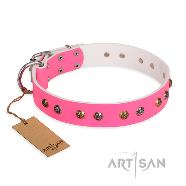 Everyday walking decorated dog collar with rust resistant hardware