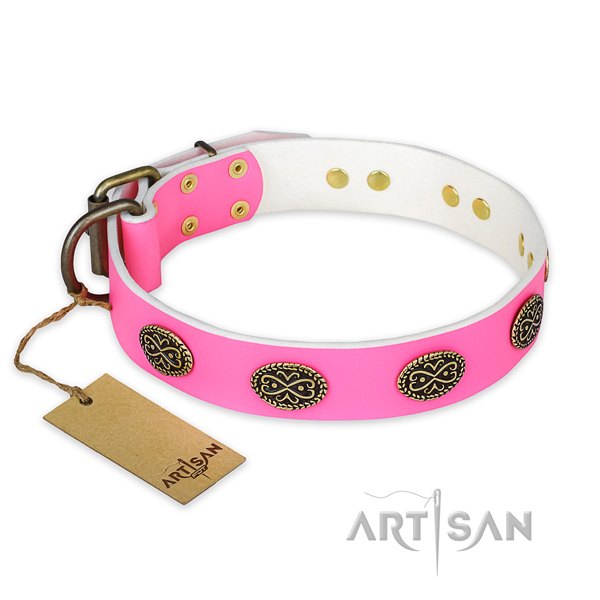 Incredible genuine leather dog collar for everyday walking