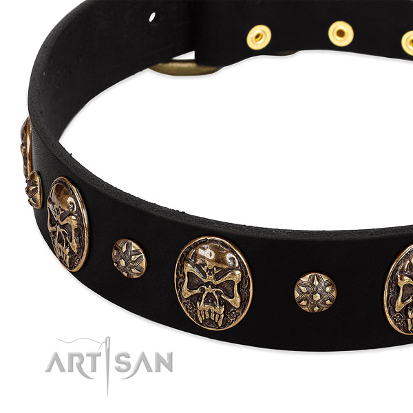 Strong adornments on natural genuine leather dog collar for your dog