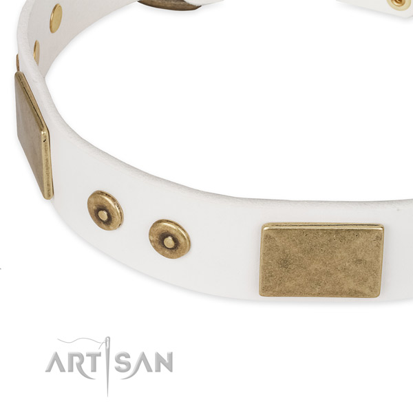 Strong decorations on leather dog collar for your four-legged friend