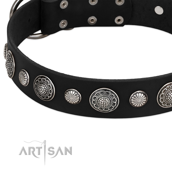 Full grain leather collar with rust-proof hardware for your stylish dog