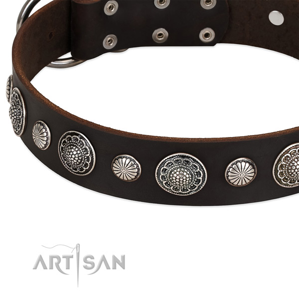 Full grain natural leather collar with rust-proof fittings for your stylish dog