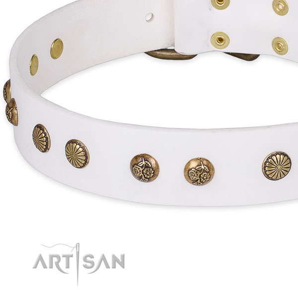 Full grain natural leather collar with corrosion proof hardware for your handsome dog
