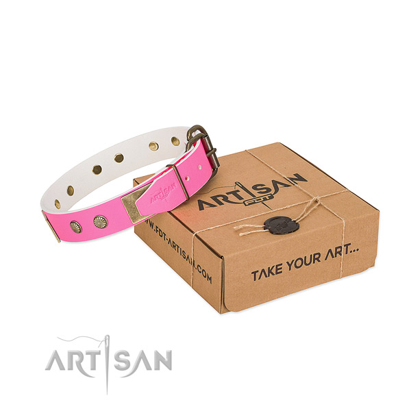 Durable studs on dog collar for daily walking