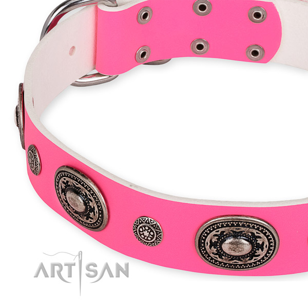 Genuine leather dog collar with stylish strong studs