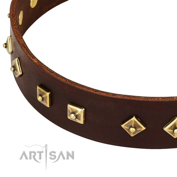 Easy adjustable leather collar for your stylish pet