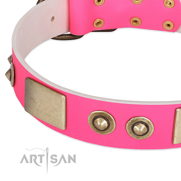 Reliable fittings on genuine leather dog collar for your dog