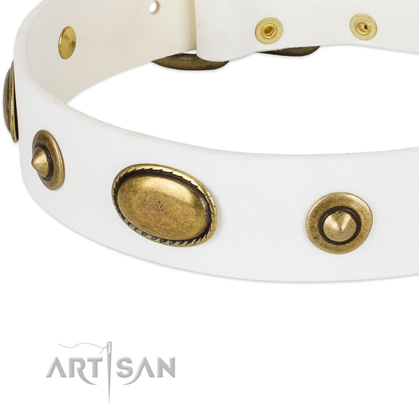 Strong buckle on full grain natural leather dog collar for your four-legged friend