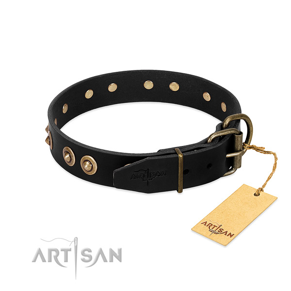 Corrosion resistant decorations on full grain natural leather dog collar for your pet