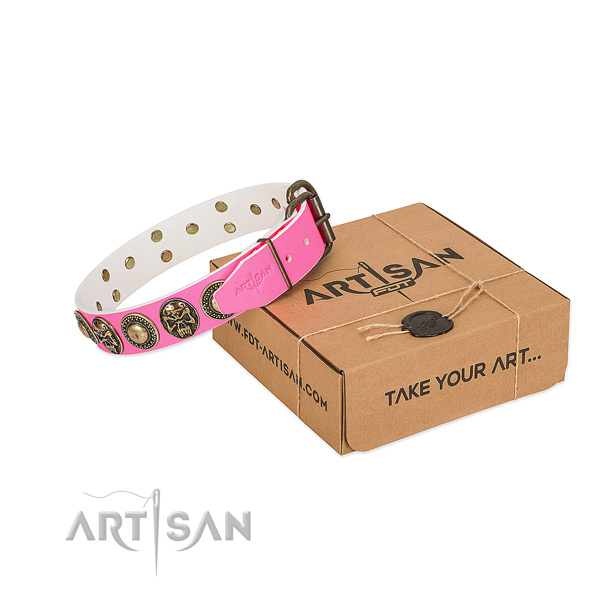 Corrosion resistant adornments on dog collar for daily walking