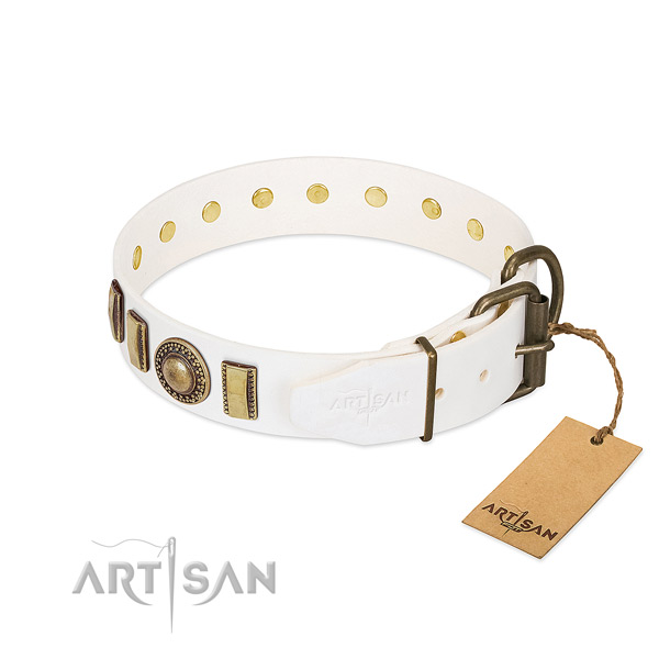 Embellished full grain genuine leather dog collar with durable buckle