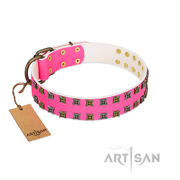 Genuine leather collar with exceptional decorations for your dog