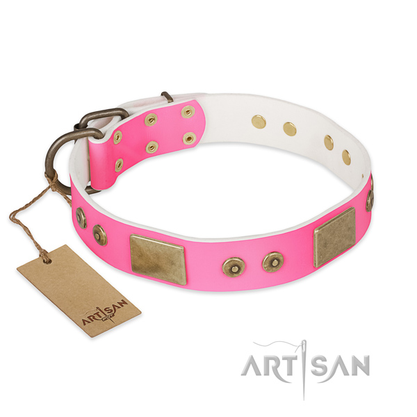 Easy to adjust genuine leather dog collar for walking your doggie