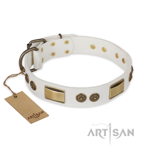 Amazing full grain natural leather dog collar for everyday walking