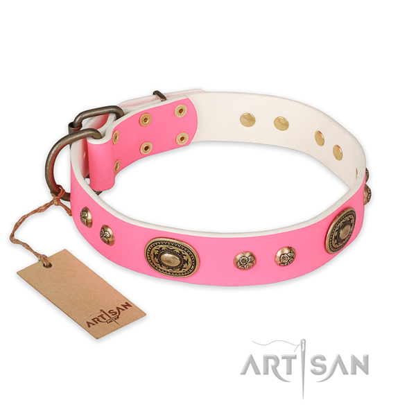 Awesome genuine leather dog collar for walking