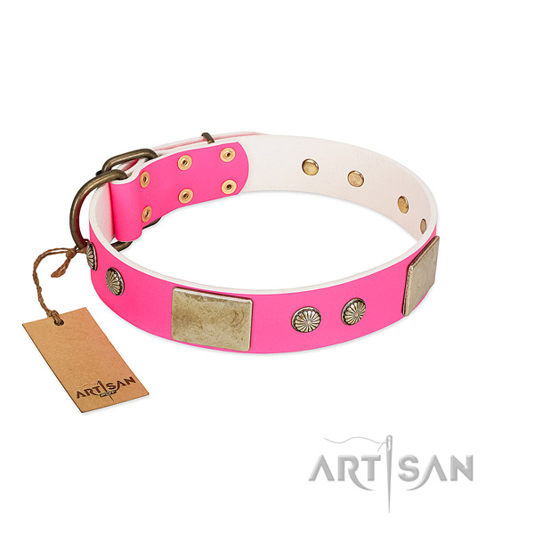 Easy to adjust natural leather dog collar for everyday walking your pet