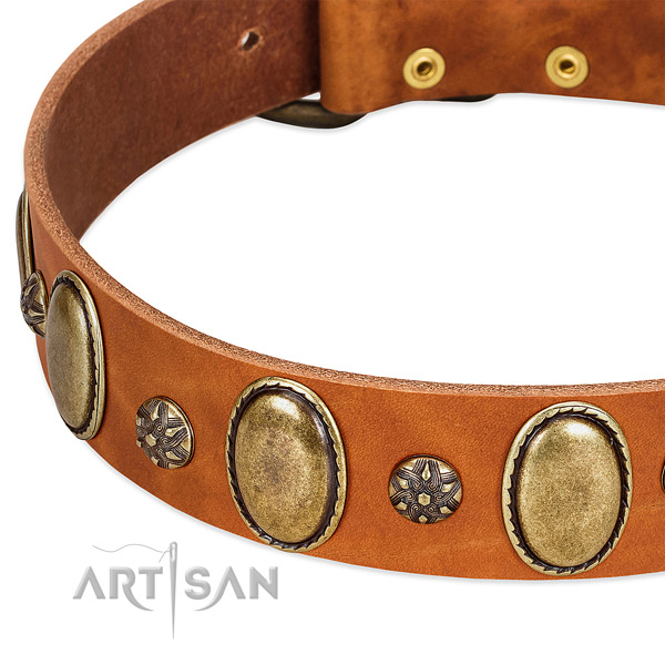 Daily walking best quality leather dog collar