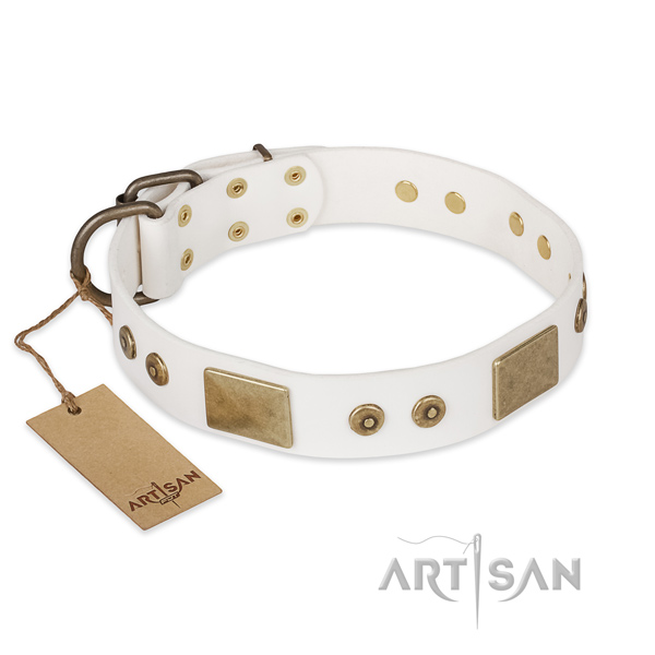 Stylish design leather dog collar for easy wearing