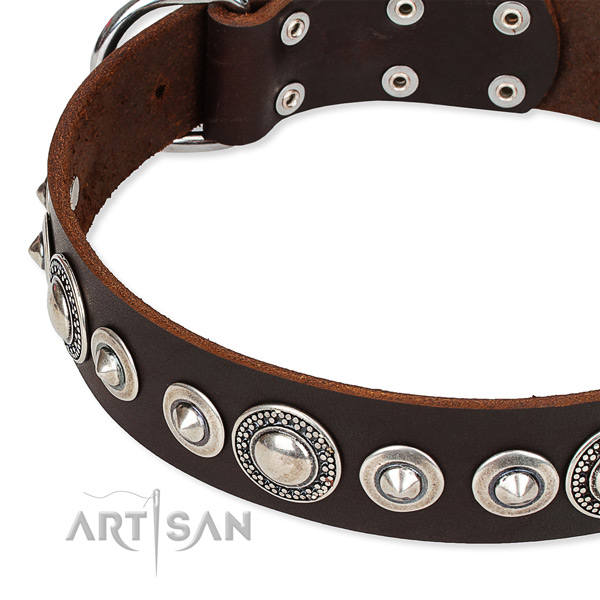 Comfortable wearing studded dog collar of high quality full grain leather