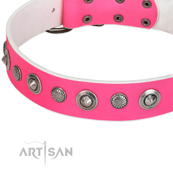 Leather collar with corrosion resistant buckle for your impressive canine
