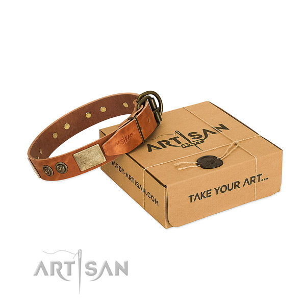 Reliable hardware on full grain natural leather dog collar for walking