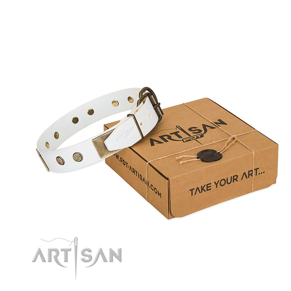 Corrosion proof embellishments on dog collar for everyday use